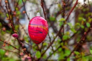 uma solteiro decorativo Páscoa ovo em uma ramo foto