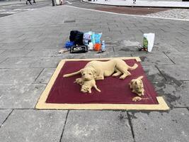 uma Visão do uma areia escultura dentro Liverpool foto