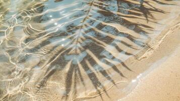abstrato fundo do sombras Palma folhas em a de praia com Claro água foto