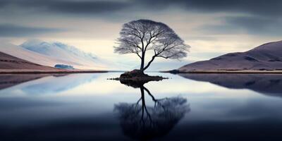 ai gerado solitário árvore em a lago costa com reflexão dentro a água generativo ai foto