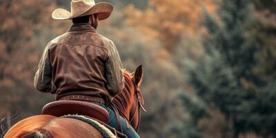 vaqueiro dentro a selim em uma cavalo traseiro Visão foto