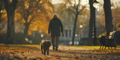 homem caminhando dele cachorro dentro a parque foto