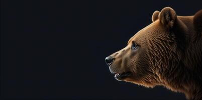 Urso cabeça dentro perfil em uma Preto fundo bandeira foto