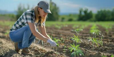 mulher crescendo cannabis foto