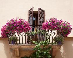 flores em uma varanda na toscana pienza foto