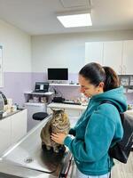 budva, Montenegro - 25 dezembro 2022. jovem mulher segurando uma malhado gato em uma mesa dentro uma veterinário clínica foto