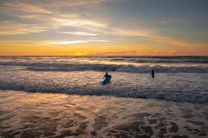 surfista amadores passeio uma borda dentro a oceano às pôr do sol foto