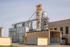 silos celeiro elevador em agroindustrial complexo com semente limpeza e secagem linha para grão armazenamento foto