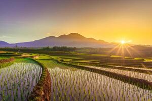 Visão do Indonésia dentro a manhã, verde arroz Campos, Sol Aumentar brilhantemente sobre a montanha foto