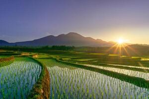 Visão do Indonésia dentro a manhã, verde arroz Campos, Sol Aumentar brilhantemente sobre a montanha foto