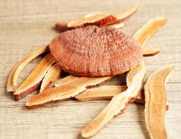 Cogumelo lingzhi ou reishi com cápsulas, alimentos saudáveis naturais orgânicos. foto