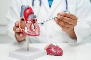 cardiovascular doença cvd, médico com coração humano modelo anatomia para tratamento paciente dentro hospital. foto