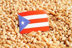 porto rico bandeira em grão trigo, comércio exportação e economia conceito. foto