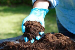 musgo de turfa, solo fertilizante para agricultura orgânica, cultivo de plantas, conceito de ecologia. foto