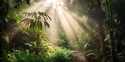 tropical chuva selva profundo floresta com bebê raio luz brilhando. natureza ao ar livre aventura vibração cena fundo Visão foto