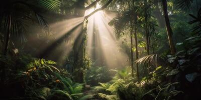 tropical chuva selva profundo floresta com bebê raio luz brilhando. natureza ao ar livre aventura vibração cena fundo Visão foto