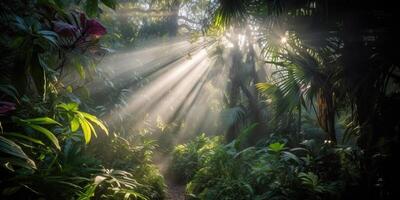 tropical chuva selva profundo floresta com bebê raio luz brilhando. natureza ao ar livre aventura vibração cena fundo Visão foto