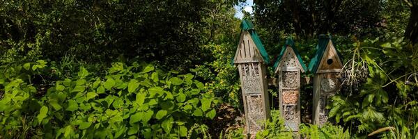 rústico gaiola aninhado dentro exuberante vegetação, exemplificando eco amigáveis jardinagem e natureza conservação, ideal para terra dia e internacional biodiversidade dia temas foto