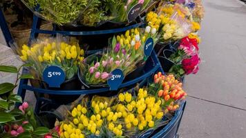 colorida tulipas dentro uma rua flor mercado com precificação Tag, ideal para mães dia e Primavera temático desenhos ou conceitos foto