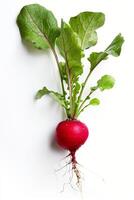 fresco orgânico vermelho rabanete com verde folhas isolado em branco fundo, adequado para vegano e vegetariano Comida conceitos e saudável comendo blogs foto