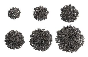 amontoar do Preto girassol sementes isolado em branco foto