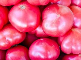 tomates. fresco orgânico legumes. fechar-se. saudável comendo conceito foto