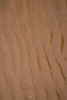 molhado areia com mar água em uma todo fundo. esvaziar ondulado arenoso mar fundo. exótico arenoso oceano de praia superfície. topo visualizar. textura e onda do Preto areia de praia durante baixo maré horas em uma quente verão dia foto