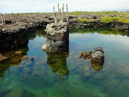 túneis de lava, ilha isabela, galápagos foto