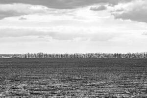 fotografia sobre o tema grande campo de fazenda vazio para colheita orgânica foto