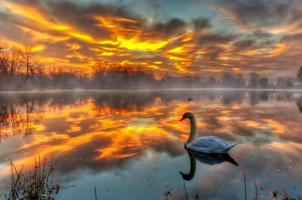 amanhecer de fogo no lago foto