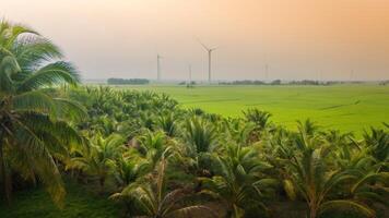 Visão do turbina verde energia eletricidade, moinho de vento para elétrico poder Produção, vento turbinas gerando eletricidade em arroz campo às phan tocou, ninh thuan província, Vietnã foto