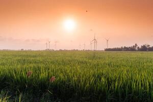 Visão do turbina verde energia eletricidade, moinho de vento para elétrico poder Produção, vento turbinas gerando eletricidade em arroz campo às phan tocou, ninh thuan província, Vietnã foto