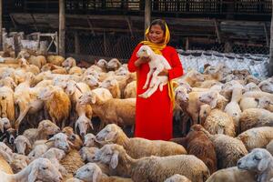 vietnamita mulher com Cordeiro em uma interior, uma ovelha Fazenda dentro a estepe zona dentro ninh thuan província, Vietnã. foto