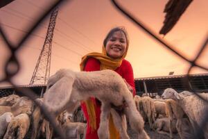 vietnamita mulher com Cordeiro em uma interior, uma ovelha Fazenda dentro a estepe zona dentro ninh thuan província, Vietnã. foto