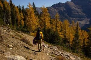 mulher caminhante caminhando através a rochoso montanhas do Canadá. foto