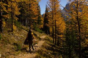 mulher caminhante caminhando através a rochoso montanhas do Canadá. foto