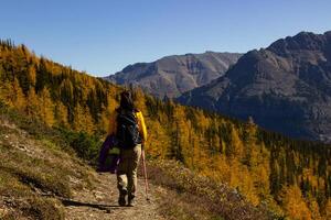 mulher caminhante caminhando através a rochoso montanhas do Canadá. foto