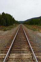 trem faixas cruzando a rochoso montanhas do Canadá foto