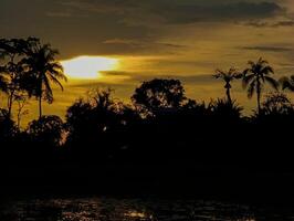 lindo pôr do sol dentro uma pantanoso área foto