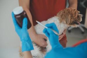 fechar-se tiro do veterinário mãos verificação cachorro de estetoscópio dentro veterinario clínica foto