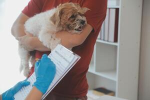 fechar-se tiro do veterinário mãos verificação cachorro de estetoscópio dentro veterinario clínica foto