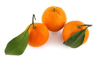 três tangerinas isolado em uma branco fundo. orgânico tangerina com verde folha. mandarim. foto