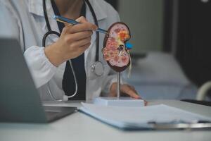 fêmea médico explicando para paciente resultados do modelo a processo do pacientes. diagnóstico do doenças para modelo interno órgão. foto