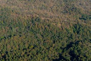 aéreo Visão do verde floresta dentro tropical. ponto de vista em a montanha. estrada caminho escondido dentro a floresta. às wat chaloema phra kiat frachomklao rachanusorn Lampang tailândia. foto