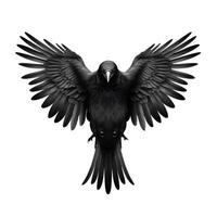 fechar acima realista Raven com espalhar asas - detalhado Corvo fotografia isolado em branco fundo foto