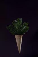 uma cone em forma recipiente com uma verde plantar dentro. a imagem tem uma Sombrio fundo e uma temperamental atmosfera. foto