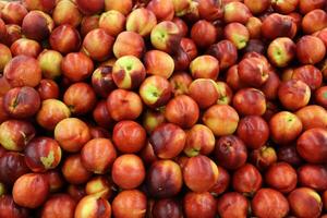 frutas e legumes estão vendido às uma bazar dentro Israel. foto