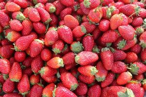 frutas e legumes estão vendido às uma bazar dentro Israel. foto