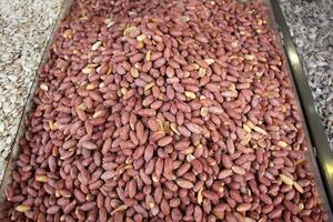 frutas e legumes estão vendido às uma bazar dentro Israel. foto