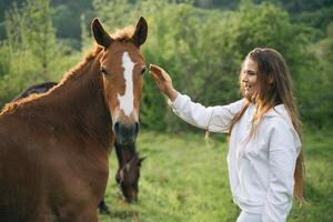 uma mulher é acariciando uma Castanho cavalo dentro uma campo. a cavalo é em pé Próximo para outro cavalo. foto